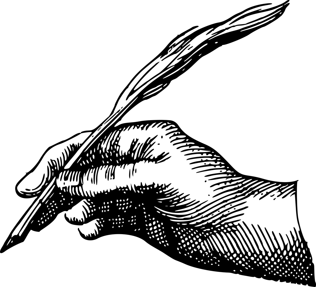 RSVP 您的邀请
