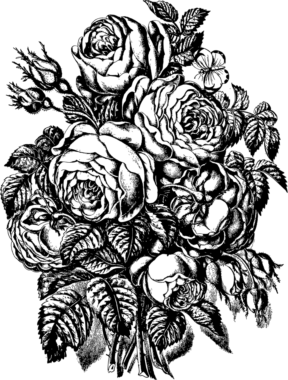OUR STORY 我们的故事
